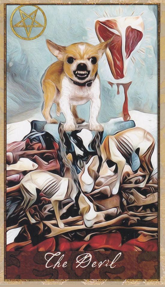 Wise Dog Tarot